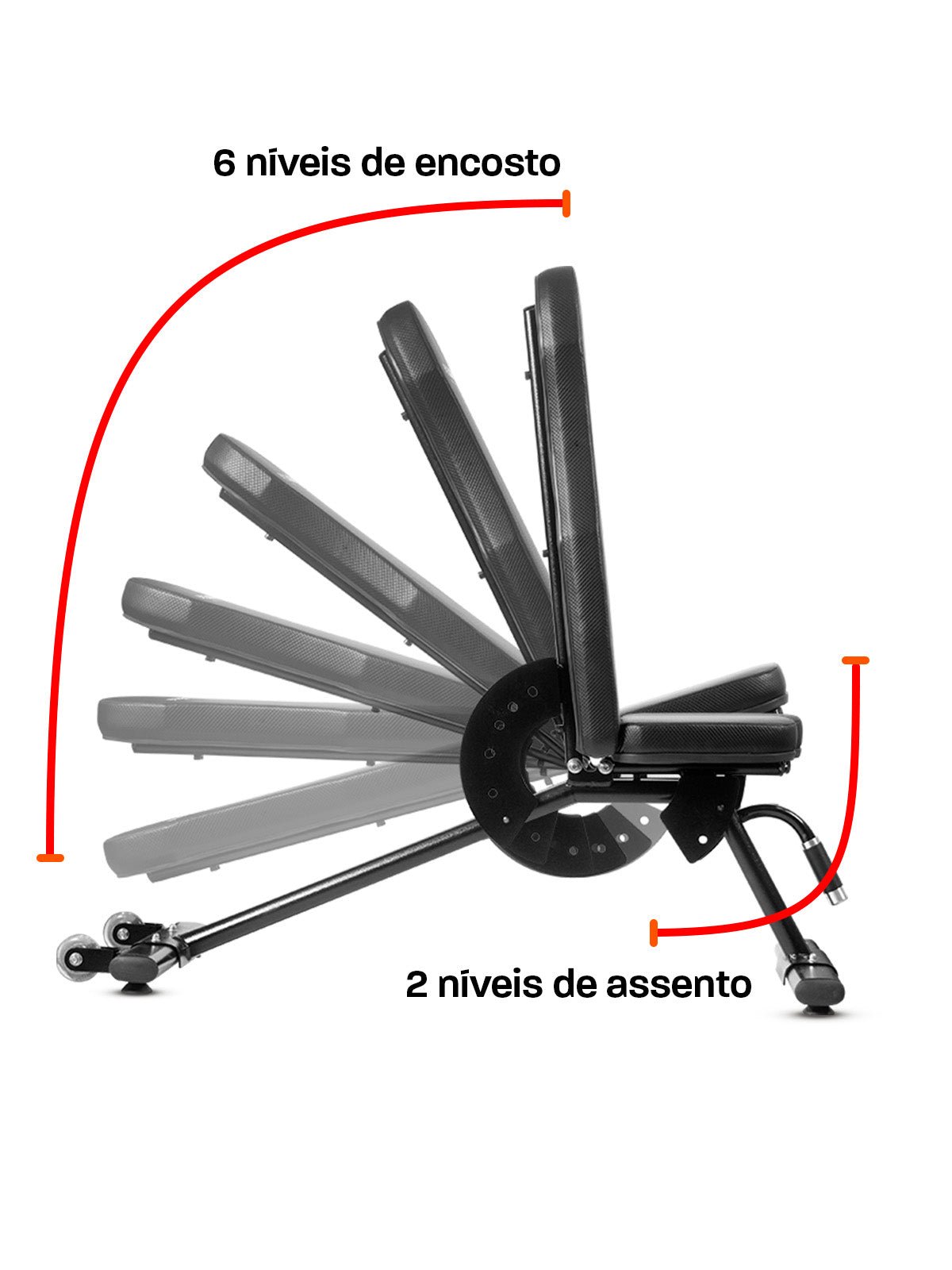 Banco Livre Ajustável Profissional M1 - Imagem 10