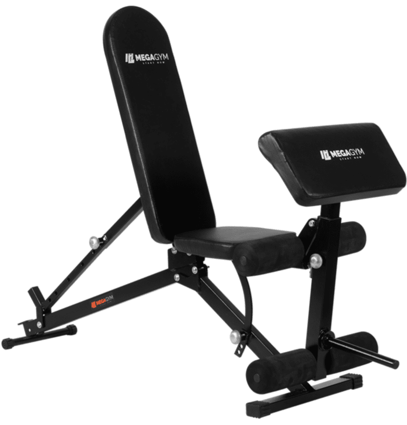 Banco 10x1 P/ Supino Com Rosca Scott Cadeira Extensora - Imagem 1